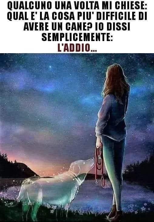 CuoreIschitano's tweet photo. https://t.co/9qRV0BpZ1U