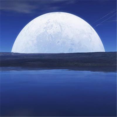 dreamergirl50's tweet photo. Protecting coral reefs is vital for sustainability. Everglades faces threats from pollution. Global campaigns protect its future. Actions like reducing emissions drive meaningful change. Communities drive conservation initiatives. 🚀 🎁 https://t.co/hO4u1Cw5ga