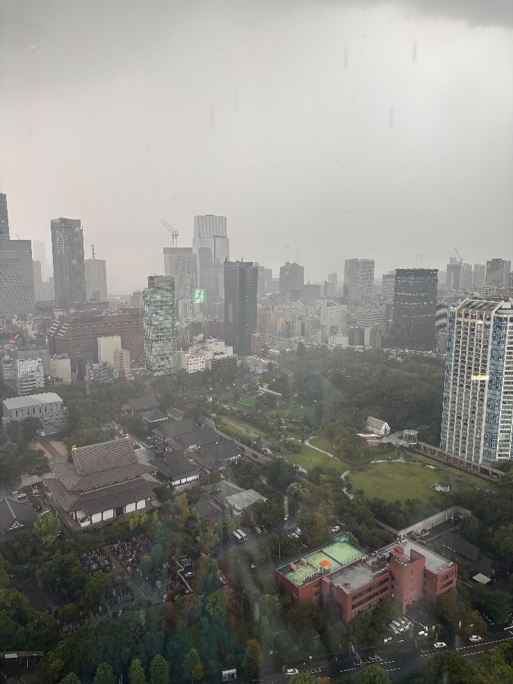 toughvarrier's tweet photo. 東京タワーのメインデッキへはじめて行きました✨
ちょうどゲリラ豪雨で景色が💦
#スイカの日　#東京タワー https://t.co/N7f4C46Q9g