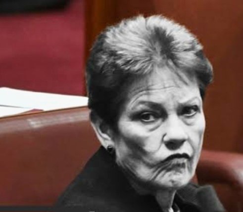 Descendant of The White Australia Policy. tweet media