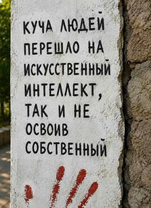 Елена tweet media