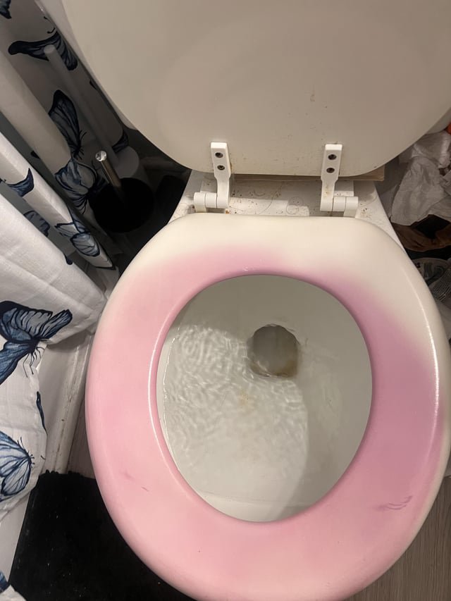 __XRAnna's tweet photo. Hey @grok why is my toilet seat turning pink/ purple.?😭 https://t.co/9ihpysym9l