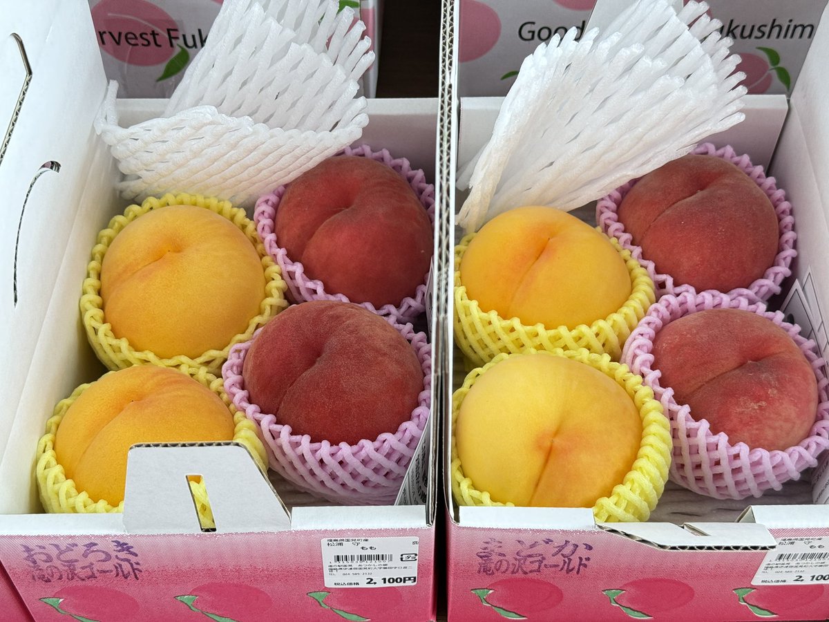 michinoeki923's tweet photo. 在庫復活‼️

贈答品納品頂きました🍑🍑🍑

3kg、他キャリーも余裕あります😉

おどろき、滝の沢ゴールドも入りました🙌 https://t.co/VBtLM4cZAS
