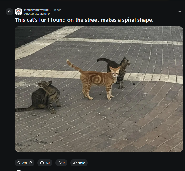 klempnerog tweet media