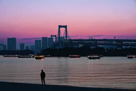 andrewmacgrego6's tweet photo. 🌆
#お台場海浜公園 #お台場 https://t.co/GxoZs4bVbq