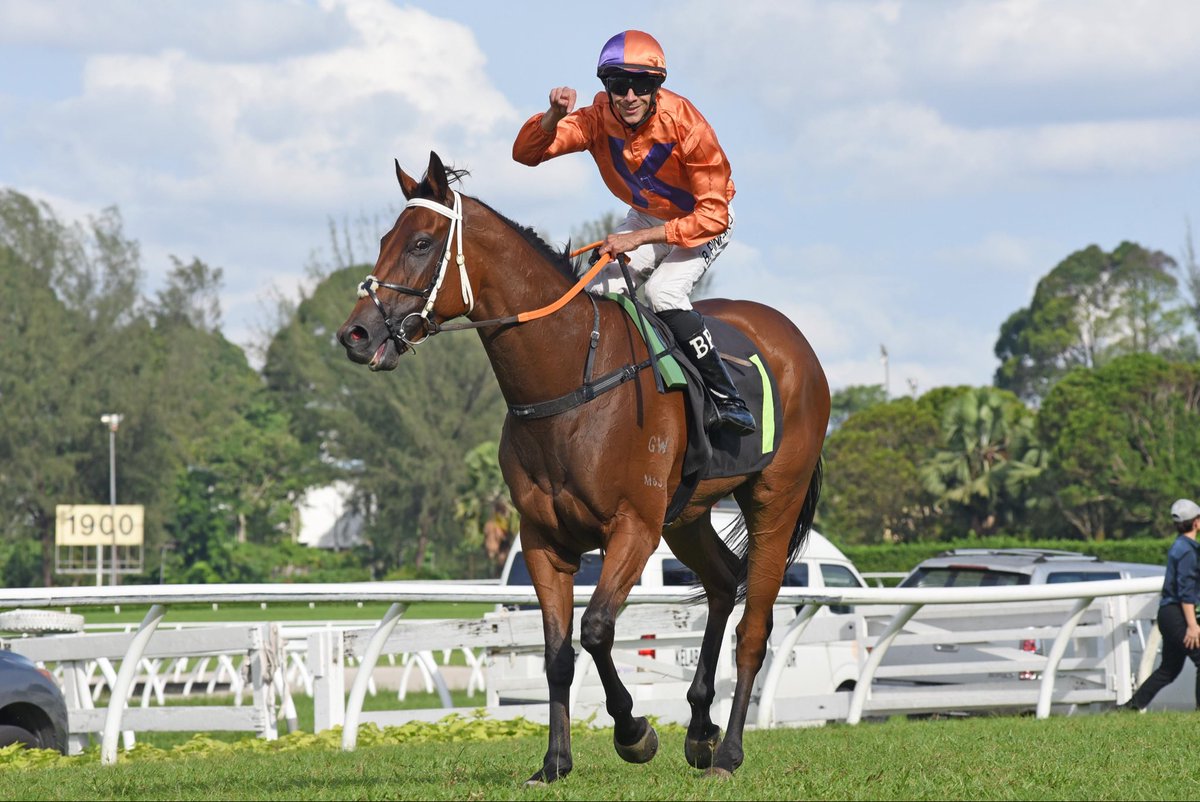 JockeyBPinheiro's tweet photo. One more time with my special ANTIPODEAN (NZ)🏇🏻 training by S Dunderdale🎩 &amp; own by Yee Kin Kong🧡
Super congratulations and thank you ALL the team and connections 👏🏻🙌🏻🙏🏻😉
•
Sunday 26/July/2026 at @SelangorTC 
#thankgod #greatful #blessed #jockey 8️⃣1️⃣6️⃣ #wins https://t.co/stjzDqPH9e