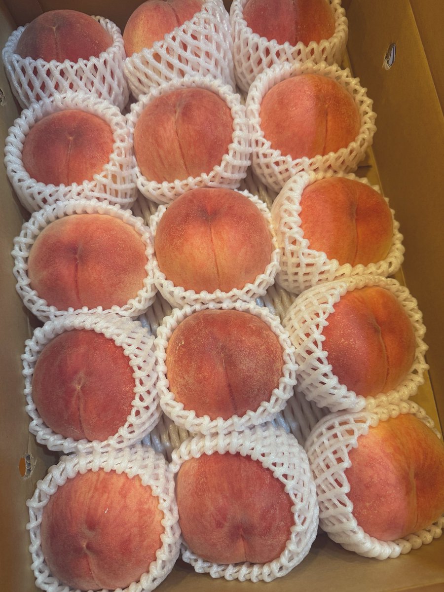 Haneru_Inaba's tweet photo. 今年もいもくり佐太郎さまから
福島の桃「あかつき」たくさん頂きました🍑
箱開けた瞬間から香りがすごーい💛
食べるの楽しみです🥰 https://t.co/5QEjJOKb0G