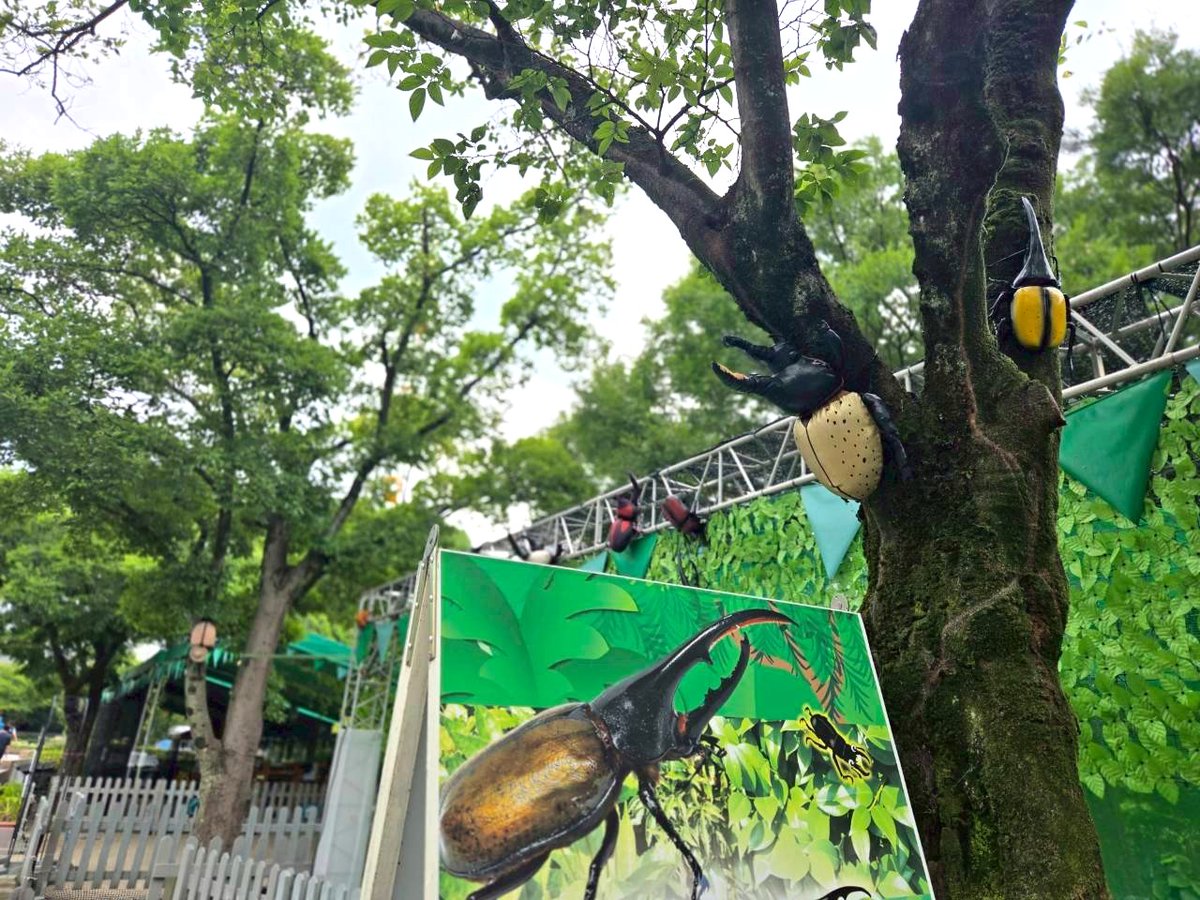 MercartJapan's tweet photo. 🌻#夏休み は #河川環境楽園オアシスパーク へ！
8/31（日）まで「#夏の楽園祭」開催中✨
水遊びやあわあわパーティーなど、夏休みのお楽しみがいっぱい！
#東海移動販売車組合 の #キッチンカー も出店中🚚
平日は1～2台、土日祝・お盆は4～7台が登場します！
ぜひ遊びにお越しください😊 https://t.co/IqnzCeAGpC