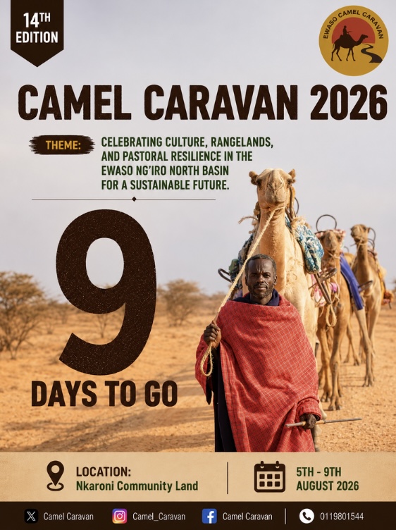 Kenya_IMPACT's tweet photo. Now in its 14th edition, Camel Caravan returns under the theme "Celebrating Culture, Rangelands, and Pastoral Resilience in the Ewaso Ng'iro North Basin for a Sustainable Future."

As momentum builds towards the International Year of Rangelands and Pastoralists #iyrp2026, the caravan is more than an annual event; it is a celebration of Indigenous knowledge, cultural heritage and the critical role pastoralists play in sustaining healthy rangelands and resilient communities.

📍 Nkaroni Community Land
 📅 5–9 August 2026

Join IMPACT Kenya and Regional Partners as we celebrate the people, cultures and landscapes that continue to shape a sustainable future. Together, let's champion the recognition, restoration and resilience of our rangelands.

#CamelCaravan2026 #Rangelands #Pastoralists #IndigenousKnowledge #SustainableFuture #EwasoNgiroNorthBasin