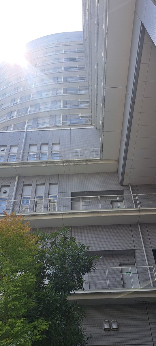 luvl997_'s tweet photo. 2ヶ月ぶりの検診に来て、暑さのあまり関テレ入って見学笑。 行きたかったOlivechickenあっさりしてて1番好きかも🫒 https://t.co/8P6El6usIn