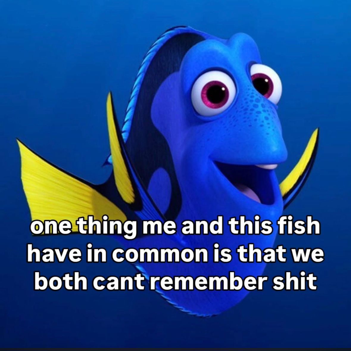 ADHD Memes tweet media