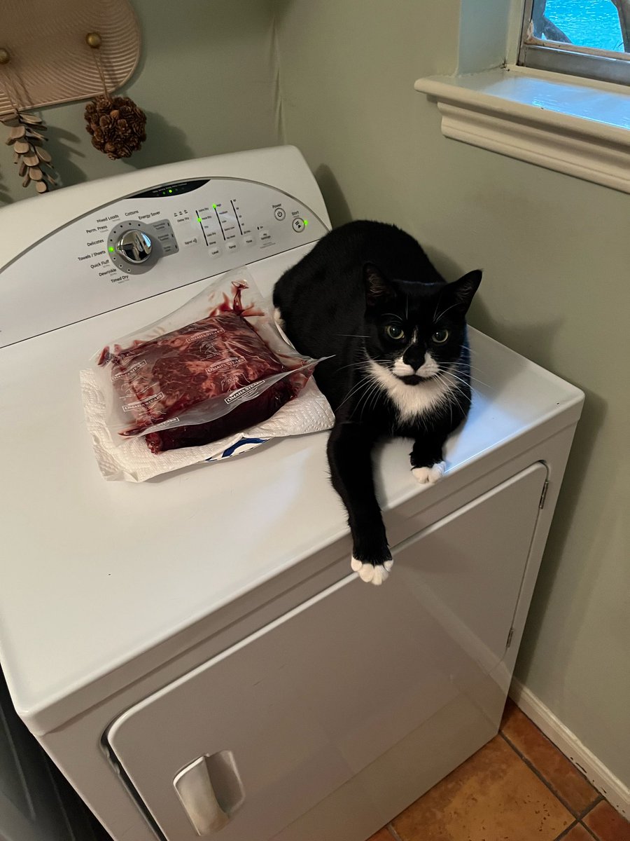 lagnaftime's tweet photo. @SomeBitchIIKnow Or on top of the dryer where I’m trying to thaw meat redneck style https://t.co/9yHcuF8tUM