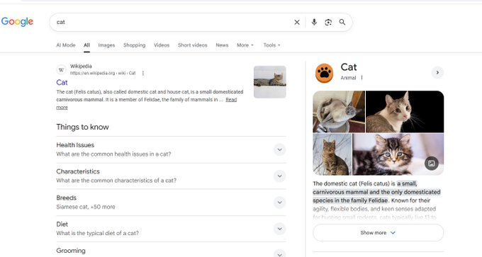 MayuriSolss's tweet photo. Instead of us PVP over 1000 different cat memes why not send something that covers the entire meta.
When you go on google and type in "Cat" it shows a little cat coin on google.
Click anywhere on the google search page and a paw shows up with a meow 
https://t.co/j265woAMBV https://t.co/laBcIquj5e