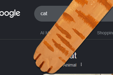 MayuriSolss's tweet photo. Instead of us PVP over 1000 different cat memes why not send something that covers the entire meta.
When you go on google and type in "Cat" it shows a little cat coin on google.
Click anywhere on the google search page and a paw shows up with a meow 
https://t.co/j265woAMBV https://t.co/laBcIquj5e