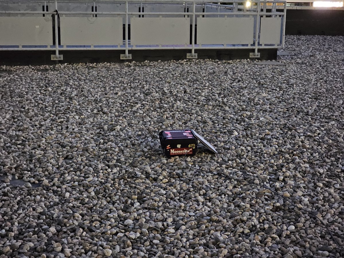 Axesniper's tweet photo. Another year another successful starlink deployment 

#OffKaiGen5 https://t.co/rn0Qkbu0ho