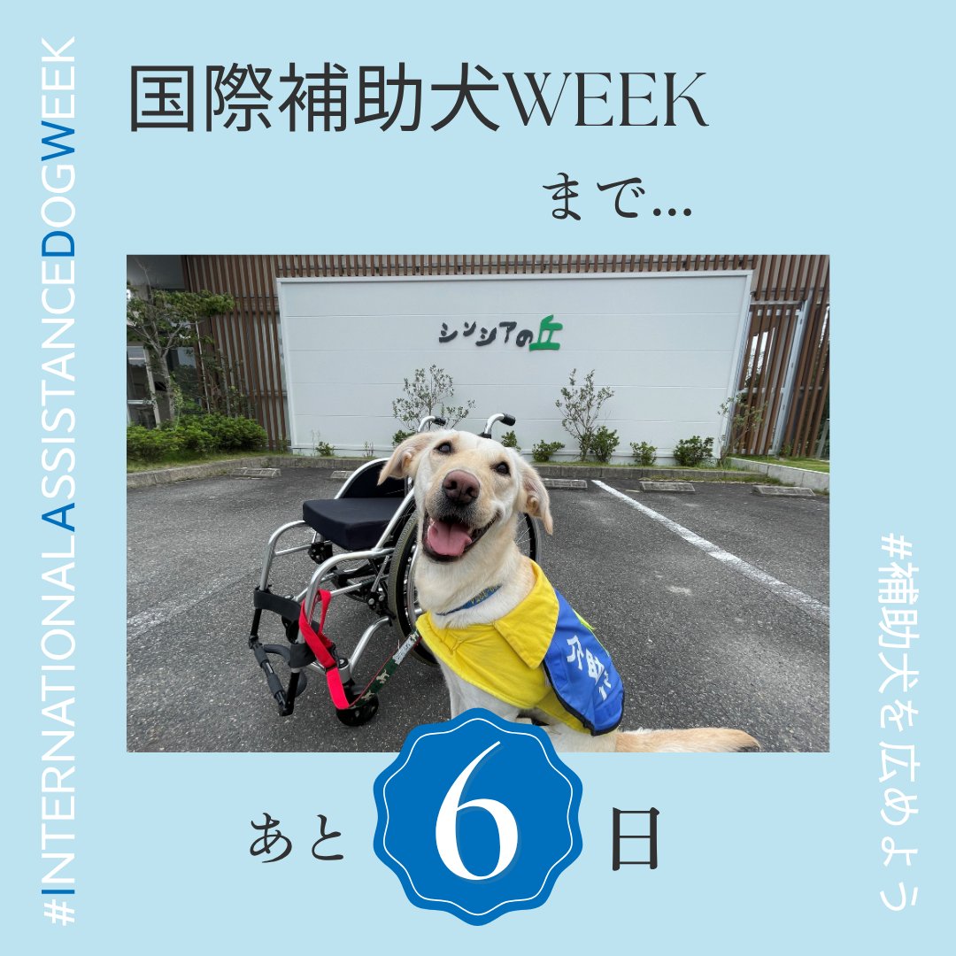 JSDA_ServiceDog's tweet photo. 8月2日(日)～8日(土)は、＃国際補助犬WEEK（＃InternationalAssistanceDogWeek）です。
#補助犬 とは、盲導犬・ #介助犬 ・聴導犬のこと。
 障がいのある方の自立と社会参加を支える大切なパートナーです。
フォローやいいねで、国際補助犬WEEKを一緒に盛り上げていただけたら嬉しいです♪ https://t.co/SHut5sF6zb
