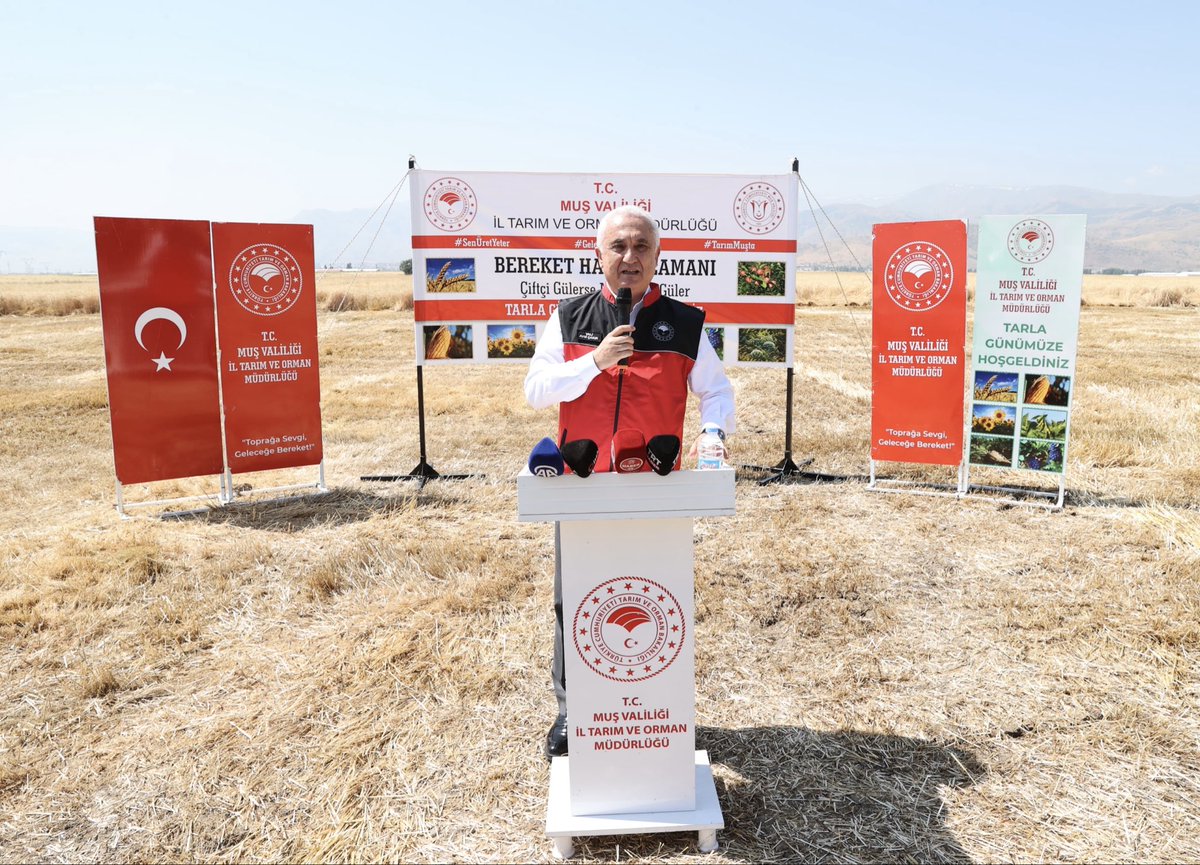 Ncttngnc's tweet photo. Emeğin, bereketin ve üretimin adresi; Muş Ovası.

Ülkemiz tarımında stratejik öneme sahip olan hububatın, ilimizde yaklaşık 200 bin hektar alanda yüksek rekolte beklentisiyle gerçekleştirilecek hasadı, Sn.Valimizin teşrifleriyle başladı.🌾🚜

Ülkemizin en verimli tarım alanlarından biri olan, bereketli topraklarıyla ülkemizin gıda arzına önemli katkı sağlayan ovamızda, üreticilerimizin yıl boyunca verdiği emeğin karşılığı alınmaya başlandı.

Toprağı alın teriyle buluşturan tüm üreticilerimize bereketli, bol kazançlı bir hasat sezonu diliyoruz.

@ibrahimyumakli @TCTarim 
@Bugemtr