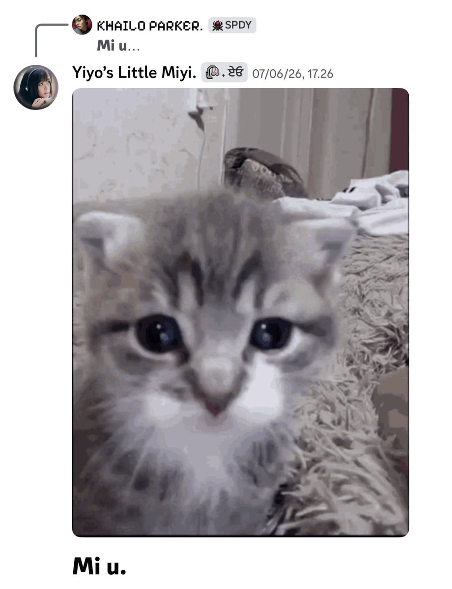 winetoxicate's tweet photo. Imut banget nggak sih dia sangat kucing coded… My kitty….. Emeng kicil…. https://t.co/DkT6zImYLF