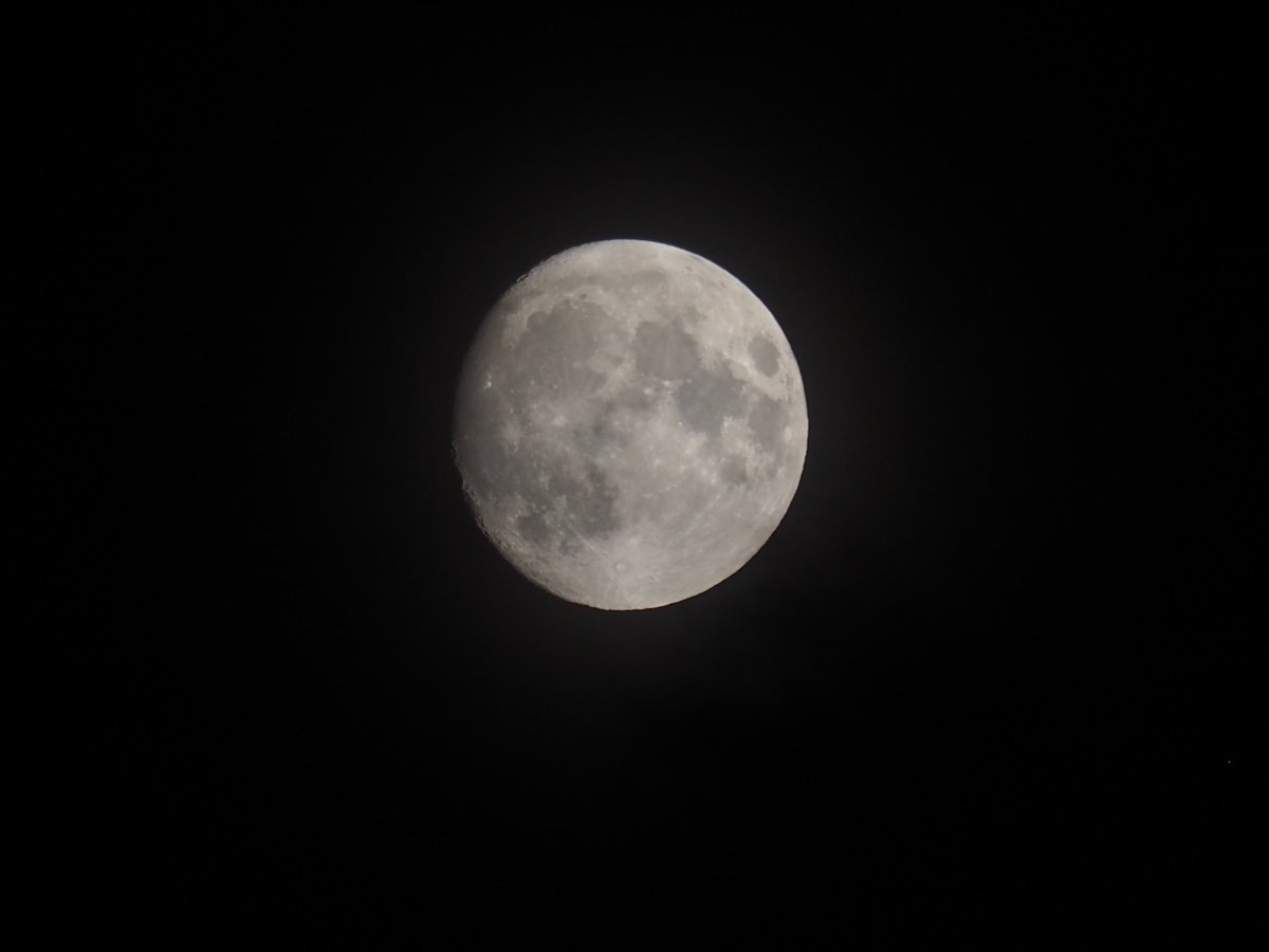 chie_peach2's tweet photo. 南南東の空に
お月様🌔月齢13.1
明るく輝き
今夜も綺麗ですね
2026/07/27   21:13 https://t.co/b7ovvYDpQl