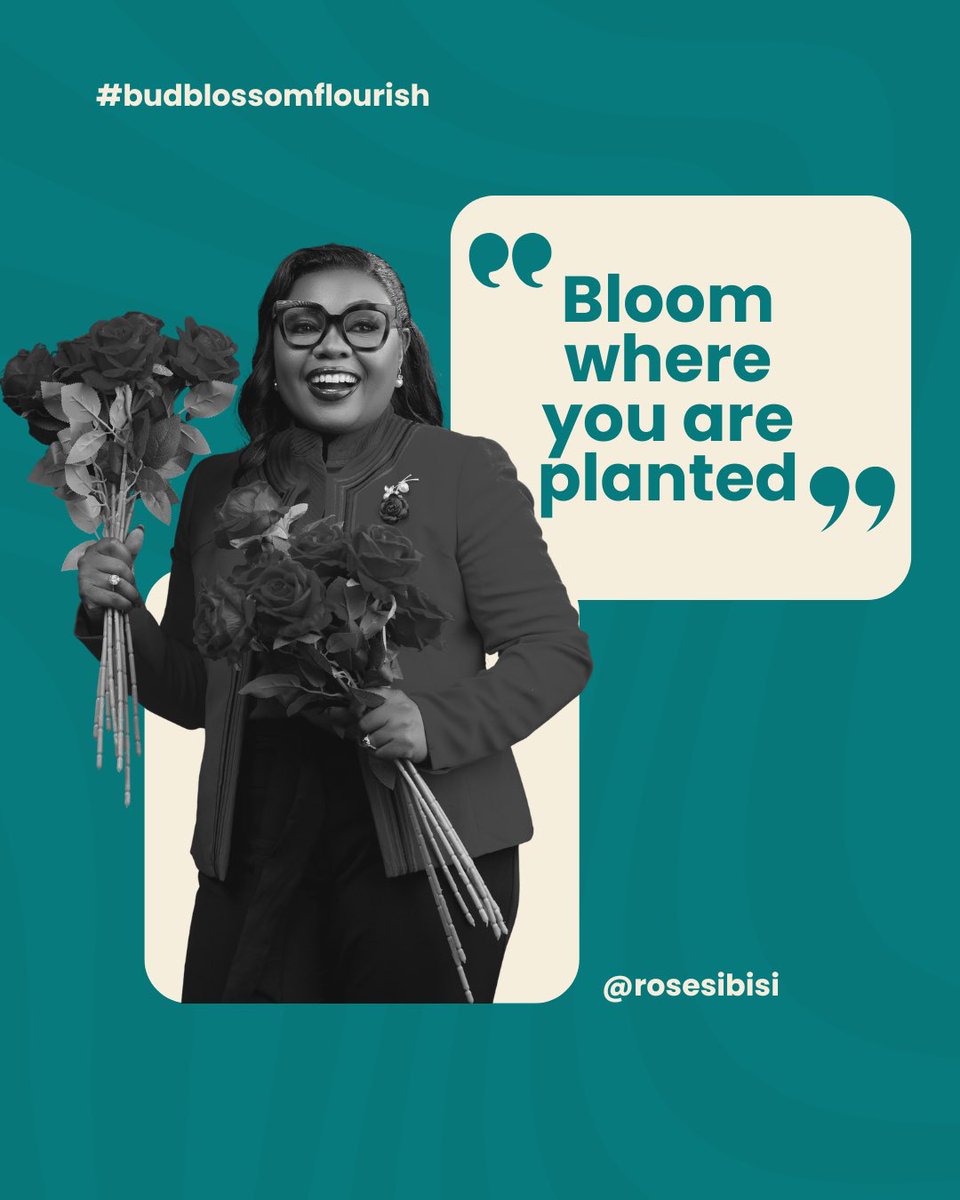 StylewithRoseS's tweet photo. Every season has a purpose. 🌿

You don’t need perfect circumstances to grow. Trust the process, nurture your gifts, and choose to flourish where you’re planted.

🌿 Bud. Blossom. Flourish.

What are you choosing to bloom in this season? 💚

#StyleWithRoses #BudBlossomFlourish https://t.co/U8C9kWUKfw