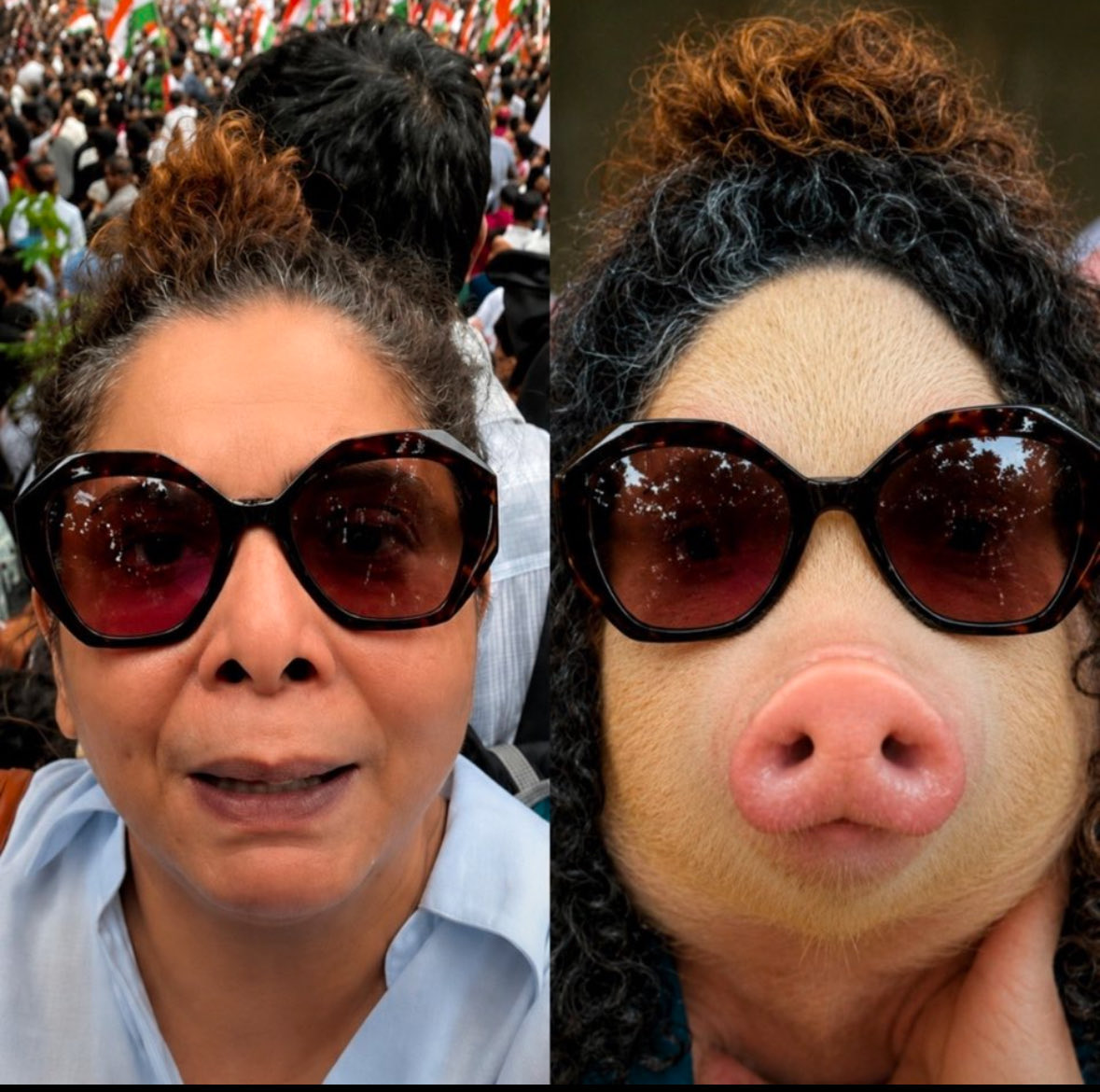 iconic_vas's tweet photo. @RanaAyyub I support you Rana. But please clarify which one is you. People  are making this viral https://t.co/PXvy3MekrX