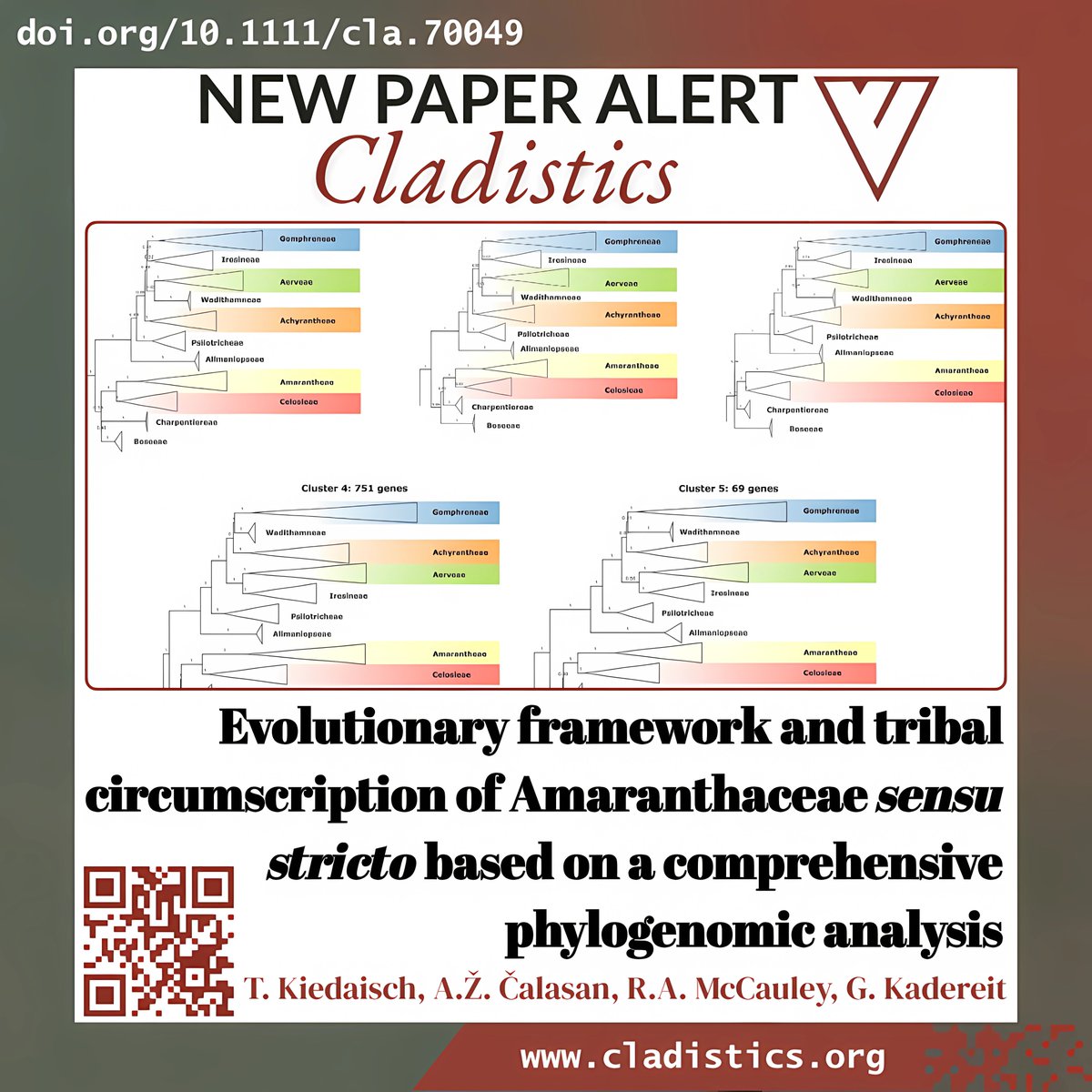 CladisticsAlert's tweet photo. ⚠️#NewPaperAlert🌿
Evolutionary framework and tribal circumscription of #Amaranthaceae sensu stricto based on a comprehensive phylogenomic analysis
By Kiedaisch et al.

https://t.co/Q9jGJ8yEsD

#Cladistics #Phylogenomics #PlantEvolution #MolecularPhylogenetics #PlantSystematics https://t.co/vRWpFi3cDB