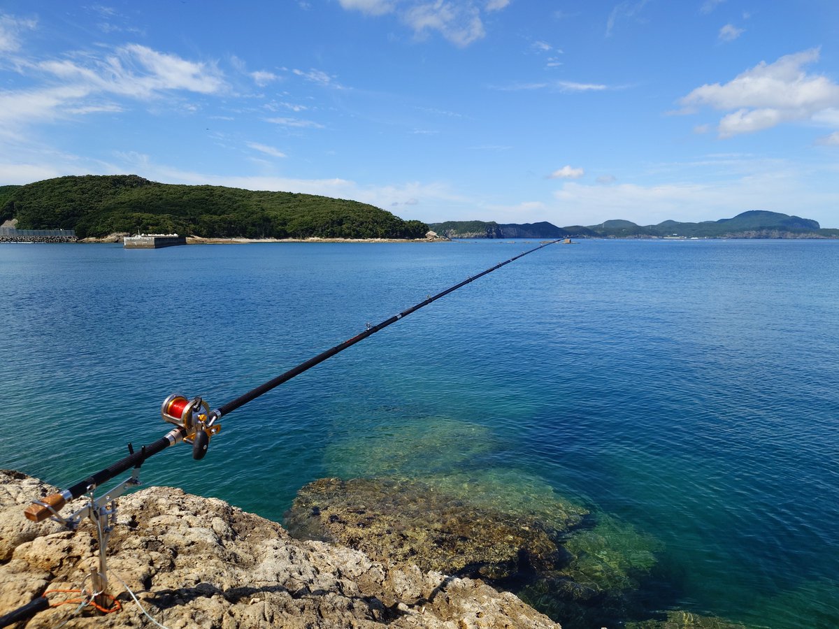 hard_jaguar's tweet photo. 離島に来て2年、ようやく石鯛を釣ることができました(ヒラばっかやってただけ笑)　56cmあって充分に本石と呼べるサイズだと思います😆あの舞い込みを見たらもう辞められませんわ～👍😍 https://t.co/ck9QRuguOt