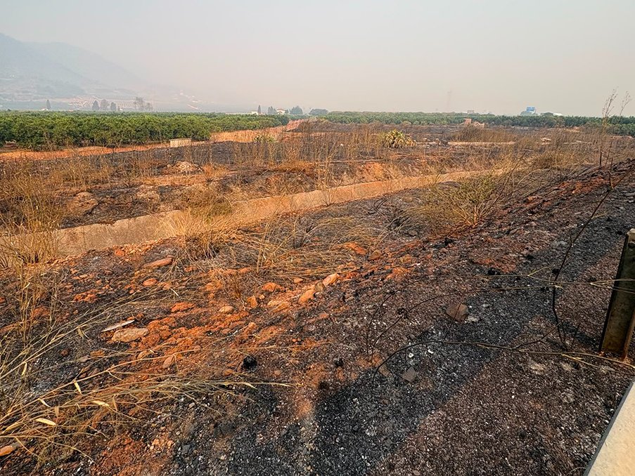 ava_asaja's tweet photo. 🔥 @ava_asaja advierte de campos, invernaderos y granjas afectadas por el incendio de Castellón.

Reclama un cambio en las políticas de prevención: “El exceso de material combustible en los bosques, barrancos y campos abandonados espolean el fuego”.

▶️ https://t.co/kitgurYUsK https://t.co/SFzB1hX9jb