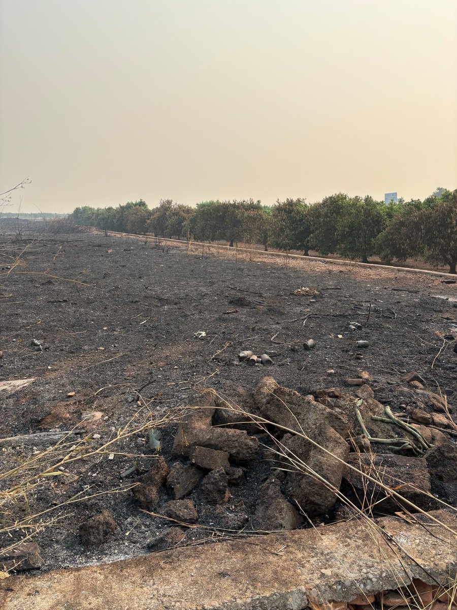 ava_asaja's tweet photo. 🔥 @ava_asaja advierte de campos, invernaderos y granjas afectadas por el incendio de Castellón.

Reclama un cambio en las políticas de prevención: “El exceso de material combustible en los bosques, barrancos y campos abandonados espolean el fuego”.

▶️ https://t.co/kitgurYUsK https://t.co/SFzB1hX9jb