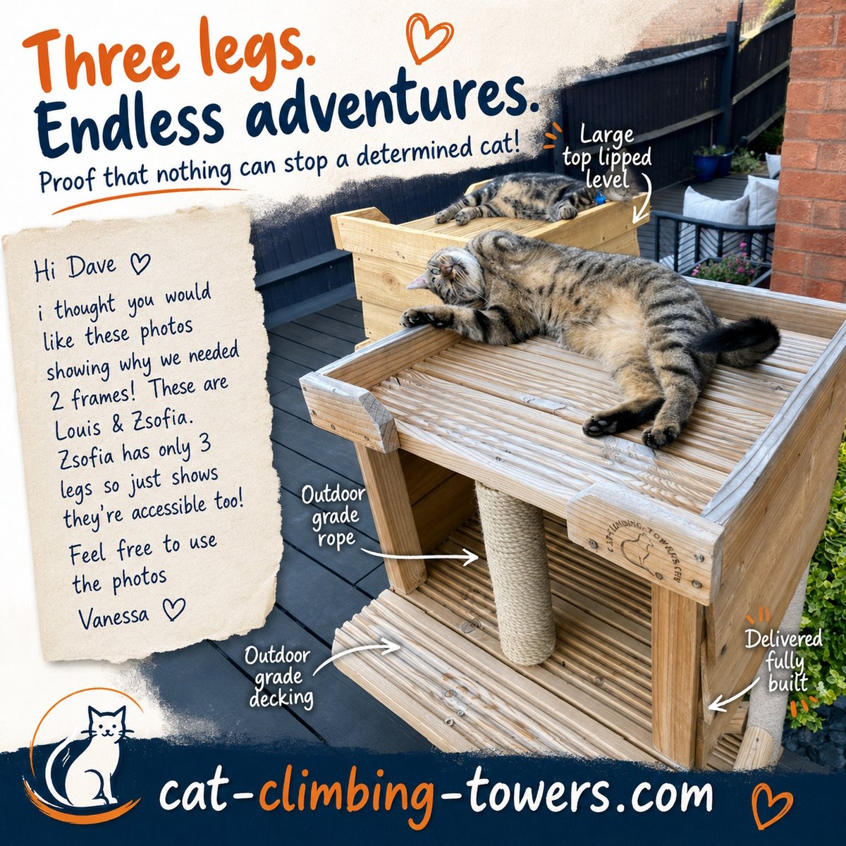 tclynx's tweet photo. โค๏ธ Three legs. No limits.
Meet Zsofia and Louis! ๐พ Zsofia only has three legs, but she's happily enjoying her outdoor cat frame alongside her best friend. Every cat deserves a safe place to explore.
#Catio #CatEnclosure #OutdoorCat #CatTree #DIYCat https://t.co/q2fEJkgeKs