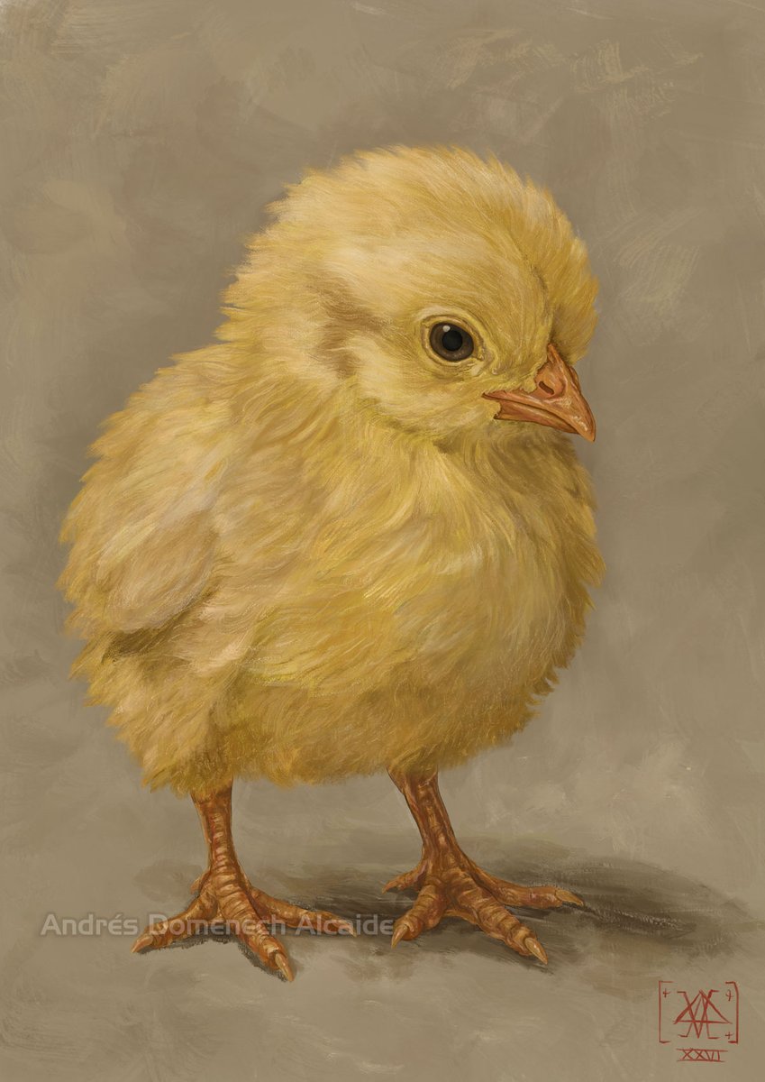Vladsnake's tweet photo. A small subject, but a fun painting study.

Digital oil painting of a chick, created in Procreate using the default painting brushes.

#DigitalPainting #Procreate #AnimalArt https://t.co/vhKnuqPNz9