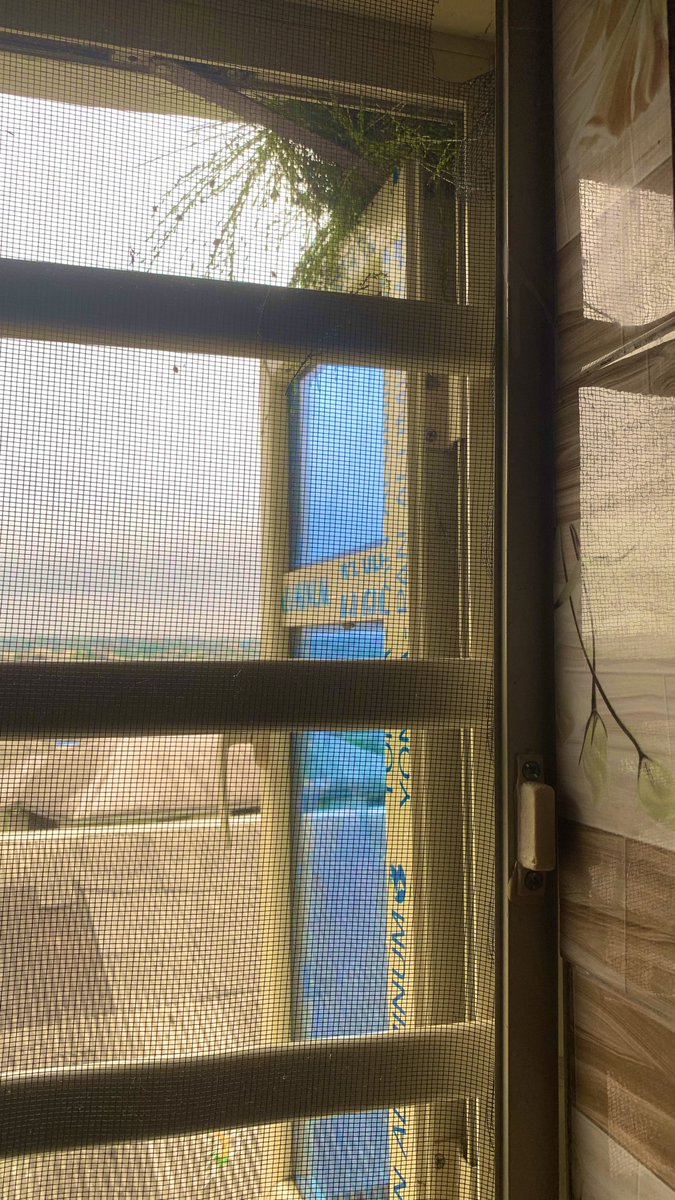 EdensLilithi's tweet photo. I need to understand why these birds choose my window of all places to always lay their eggs in.🫩 https://t.co/7hcVSjxFpc