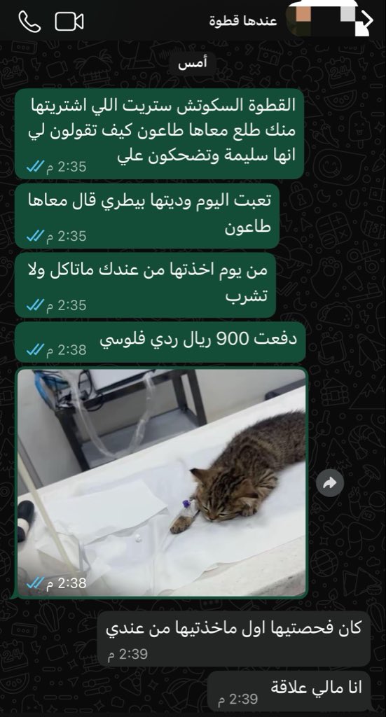 f_19y's tweet photo. قساوة القلب في صورة 💔 https://t.co/fEIGlwjaou