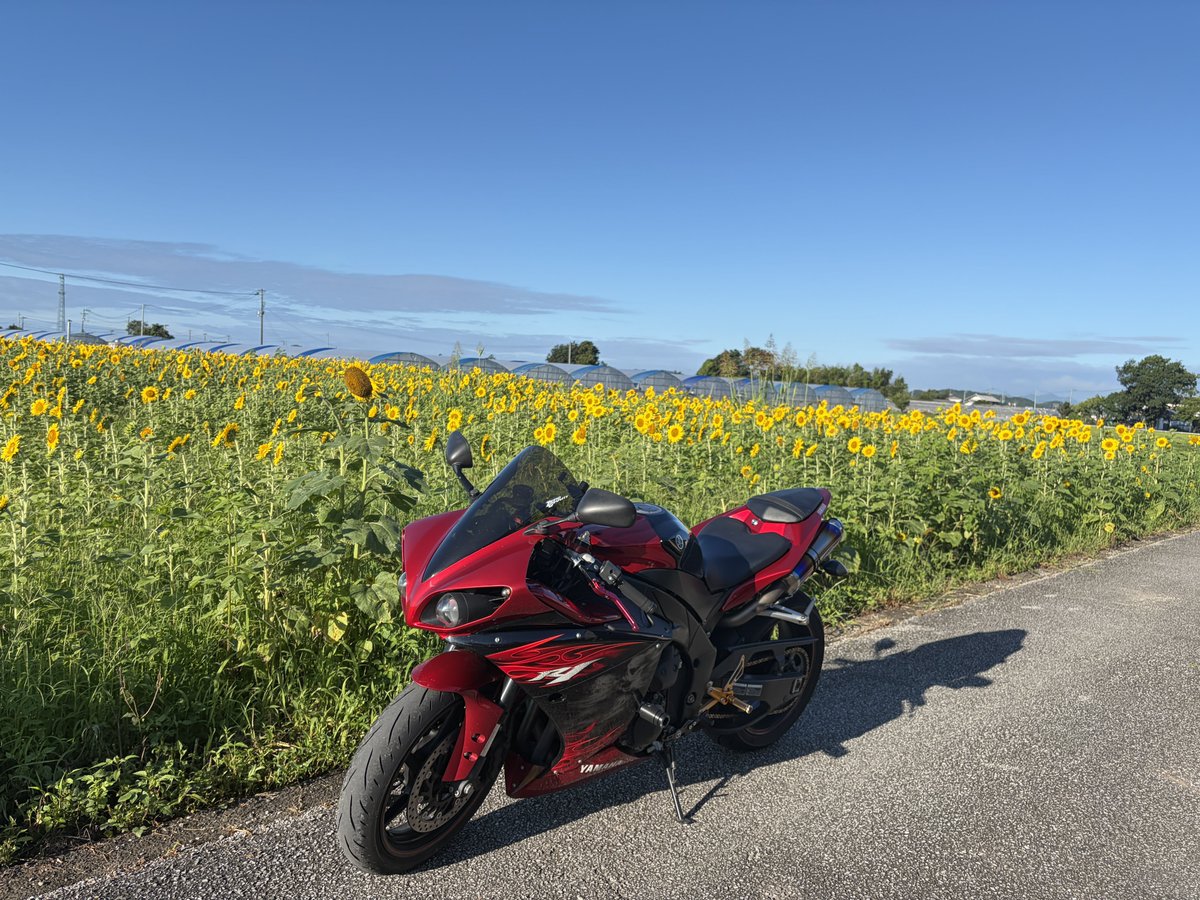 Jekyll990400's tweet photo. バイク変わったので更��

名前 : やす
性別 : 男
年齢 : 24
住み : 高知
身長 : 167
車両 :  YZF-R1(RN23N)
好き : バイク.ゲーム
一言 : 高知に来てバイク乗れる人がいないので探してます！

 #バイク乗りとして自己紹介 
 #バイク乗りと繋がりたい 
 #バイク好きと繋がりたい
 #yzfr1 https://t.co/K4TU0pqhvn