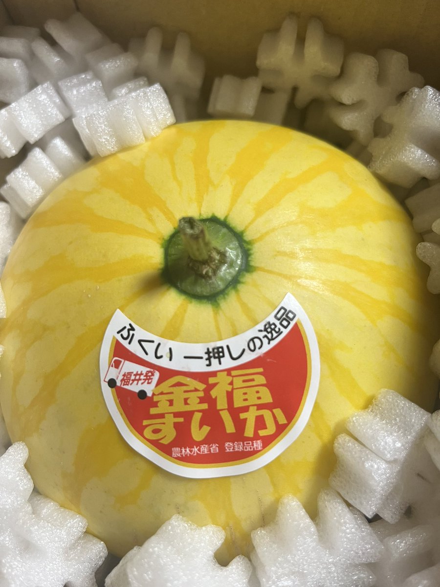 yukati7's tweet photo. 何かスイカ🍉がバズってる⁈って思ったら、今日スイカの日なんやね。
先日頂きもので初めて食べた『金福すいか』 
甘いのに後味スッキリで美味しかった！自分では買えない😆 https://t.co/Ed1rUhyEsP