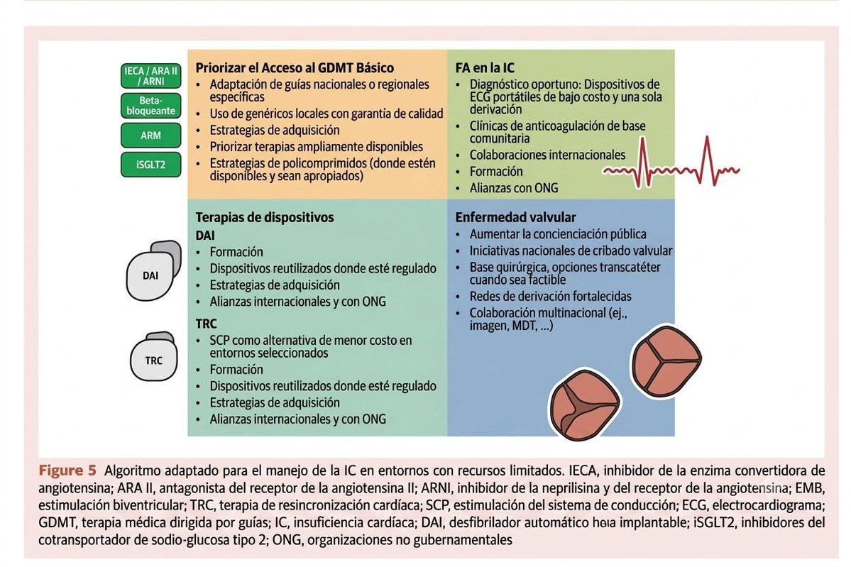 mrcsgmb84's tweet photo. 📄 Documento de consenso sobre como adaptar las guías de insuficiencia cardíaca y  trasladar la Terapia Médica Dirigida por Guías (GDMT) a la realidad de los países de ingresos bajos y medios (LMICs). 🧵👇 
@IcyfaSemi @IC_LaFe @ICardiacaSEC @SACcardiometab1 @almucastro01 @cardiologiaec 
@FaustoHerediaDr @SABOURETCardio @drbennisahmed