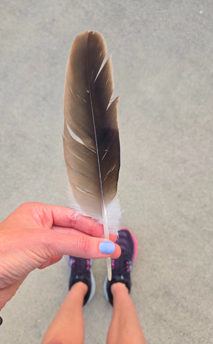 The_Catleesi's tweet photo. Found a treasure on my run this morning 🪶 https://t.co/bTctf8qWdC