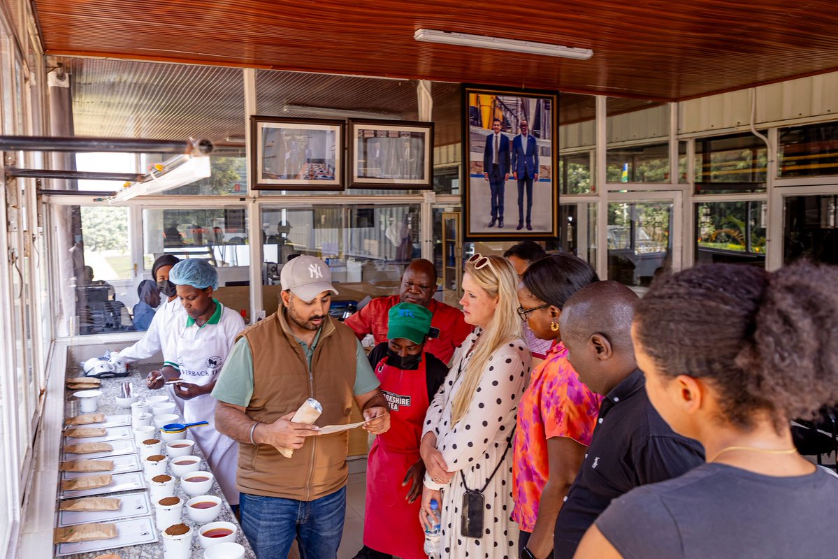 UKinRwanda's tweet photo. Great to visit Rugabano in @KarongiDistr.

£16.3m of UK investment in tea sector will:

🫖support 21k farmers

🍃create over 40k jobs

🍵attract over $135m in FDI

🚀deliver $30m annually to smallholder farmers.

We're boosting incomes&amp;transforming 🇷🇼tea sector.

#GoFarGoTogether https://t.co/I11JooNJt6