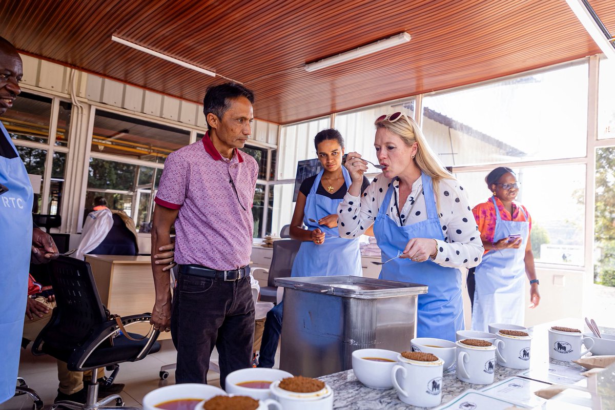UKinRwanda's tweet photo. Great to visit Rugabano in @KarongiDistr.

£16.3m of UK investment in tea sector will:

🫖support 21k farmers

🍃create over 40k jobs

🍵attract over $135m in FDI

🚀deliver $30m annually to smallholder farmers.

We're boosting incomes&amp;transforming 🇷🇼tea sector.

#GoFarGoTogether https://t.co/I11JooNJt6