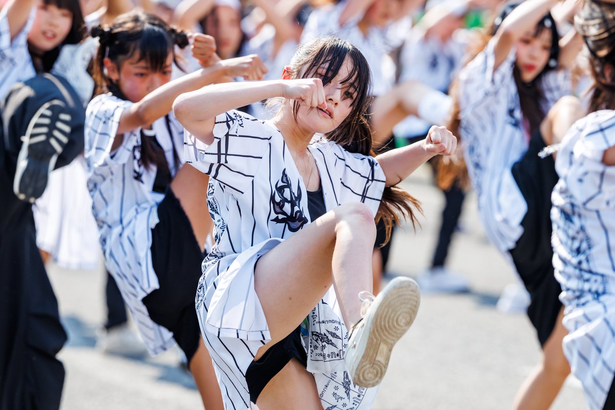 Mewanderboyi457's tweet photo. Bijou
銭形よさこい 2026 https://t.co/QG0c6OUMLz
