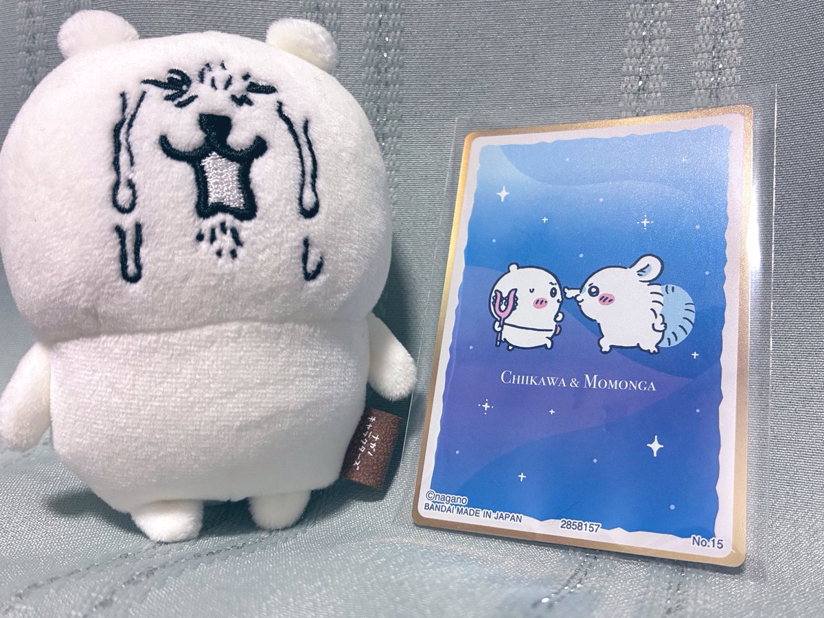breathing_jj's tweet photo. 可愛すぎる🫶w https://t.co/grNkZWhYQs