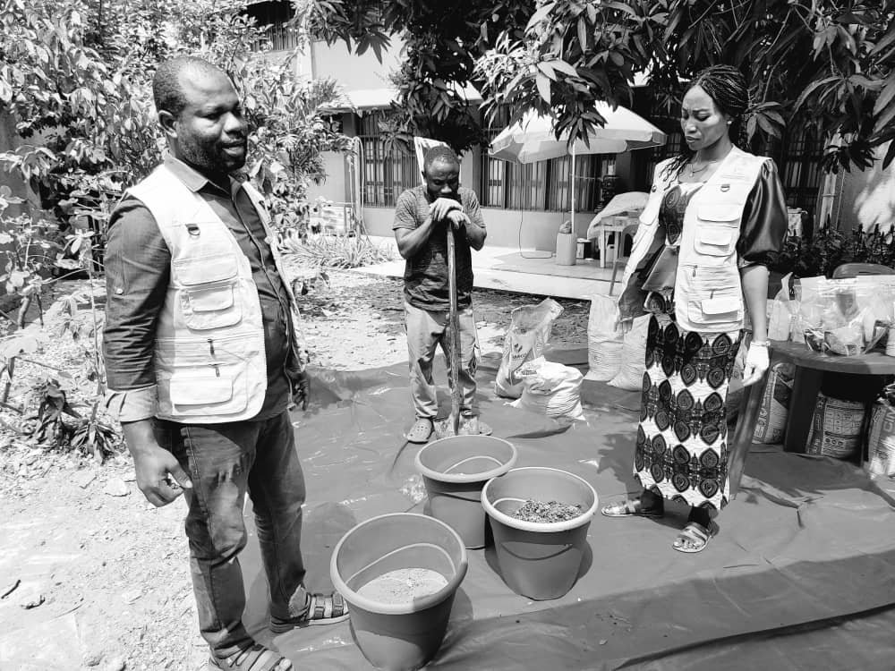 FFGRN_RDC's tweet photo. Apprentissage de la mise en place d'un Potager chez soi @awdf01 #FFGRN https://t.co/u5XHpFKnGG