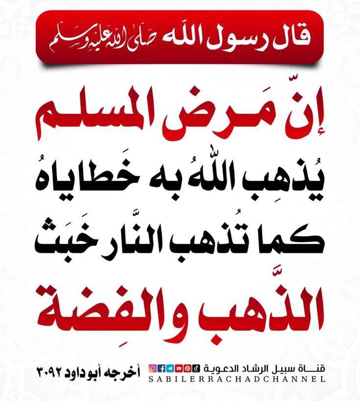 betaqaislamia's tweet photo. من مكفرات الذنوب والخطايا https://t.co/CWzskD4ZOV
