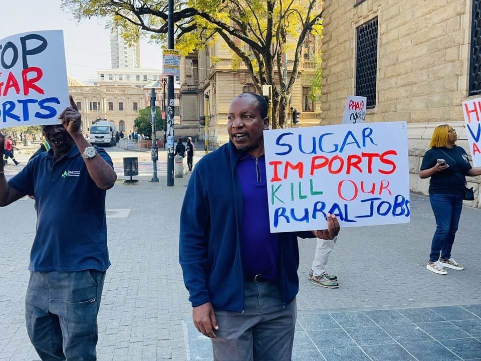 SAFDA_farmers's tweet photo. Sugarcane farmers from KwaZulu-Natal and Mpumalanga have gathered outside the offices of the National Treasury, calling for the urgent gazetting of the revised import tariff.
#GazetteTheDBRP #SaveOurSugarIndustry #ProtectLocalSugar #StandWithFarmers #SAFDA https://t.co/HL12HBswsS