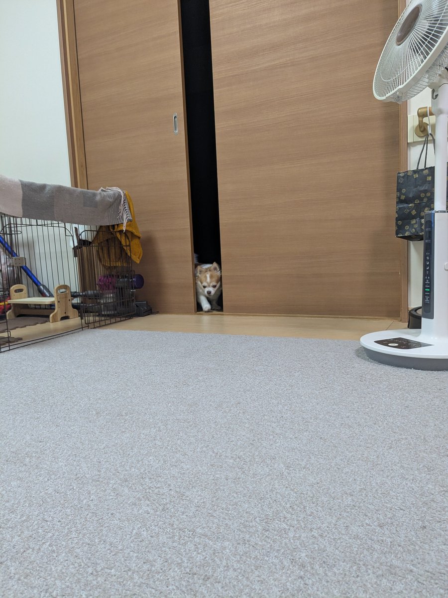 yuina_e's tweet photo. 帰ってきた https://t.co/STTNdUXyWG