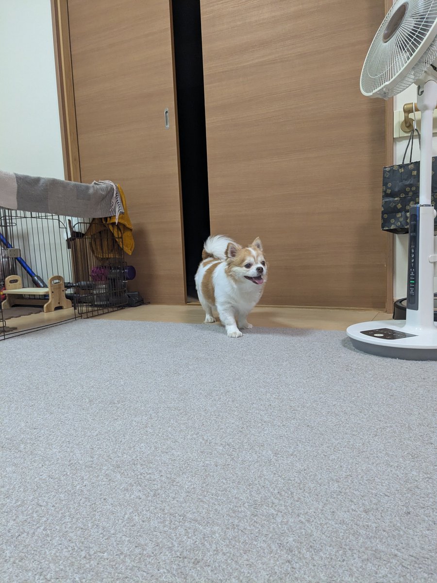 yuina_e's tweet photo. 帰ってきた https://t.co/STTNdUXyWG