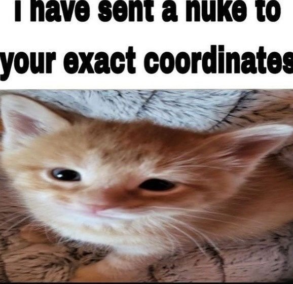 CatPosted's tweet photo. https://t.co/mE1J8X3Abe