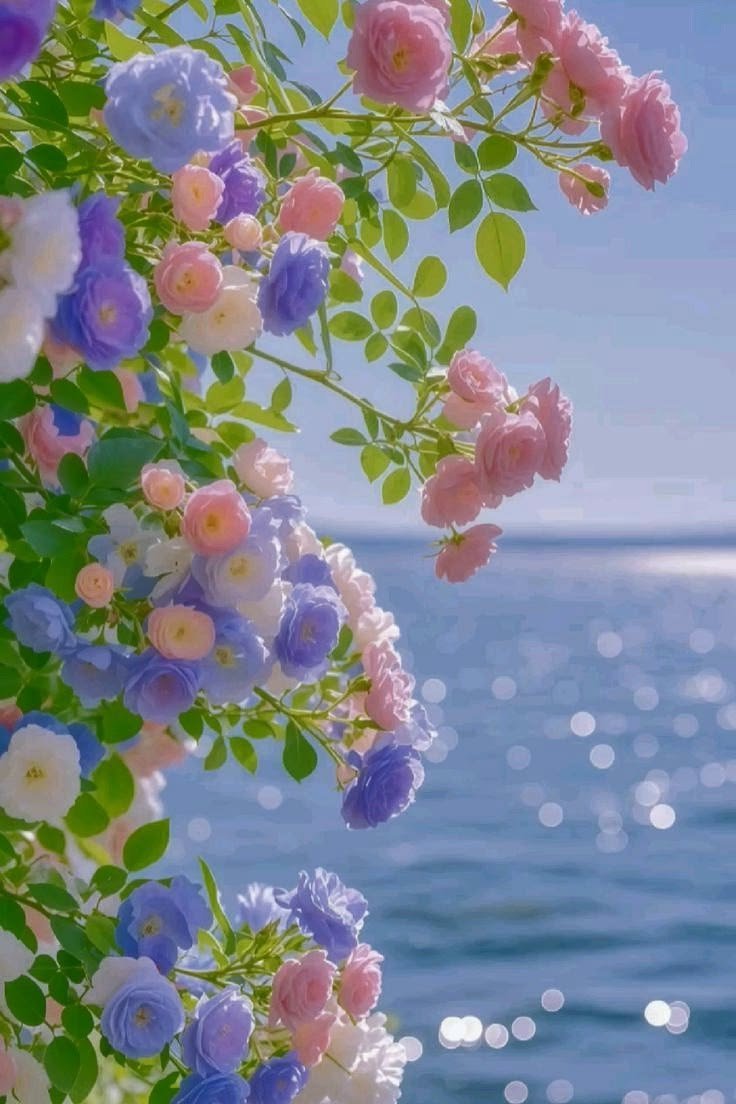 Pure Nature ✨ tweet media