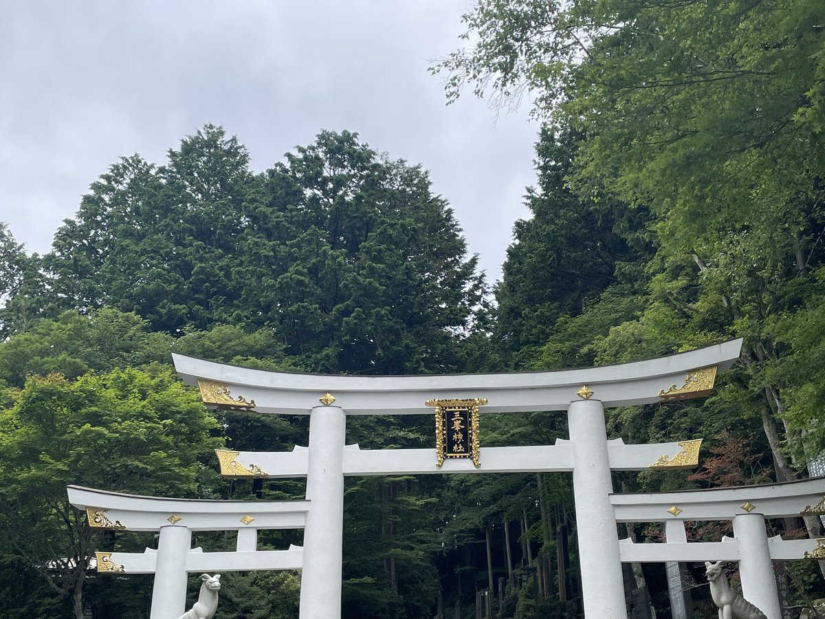 Libyandsgrass's tweet photo. 毎年恒例の三峯神社にいってまいりました🚌
鳥居付近で鹿さん発見☀️
人慣れしているせいか、めっちゃ近くで草をハミハミしていてかわいかったです😍
到着前に落雷が酷かったとのことでしたが
お天気には恵まれ、のんびりできました。
澄んだお山の空気がごちそうすぎる✨ https://t.co/E5HafHNlTX