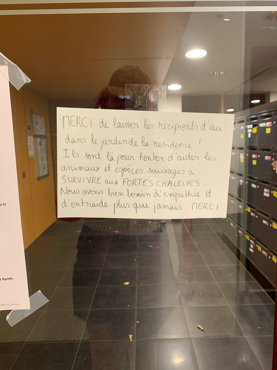 taspastord's tweet photo. la voisine folle de retour (moi)
la prochaine fois je serai pas aussi gentille https://t.co/B9QzkPxmOx